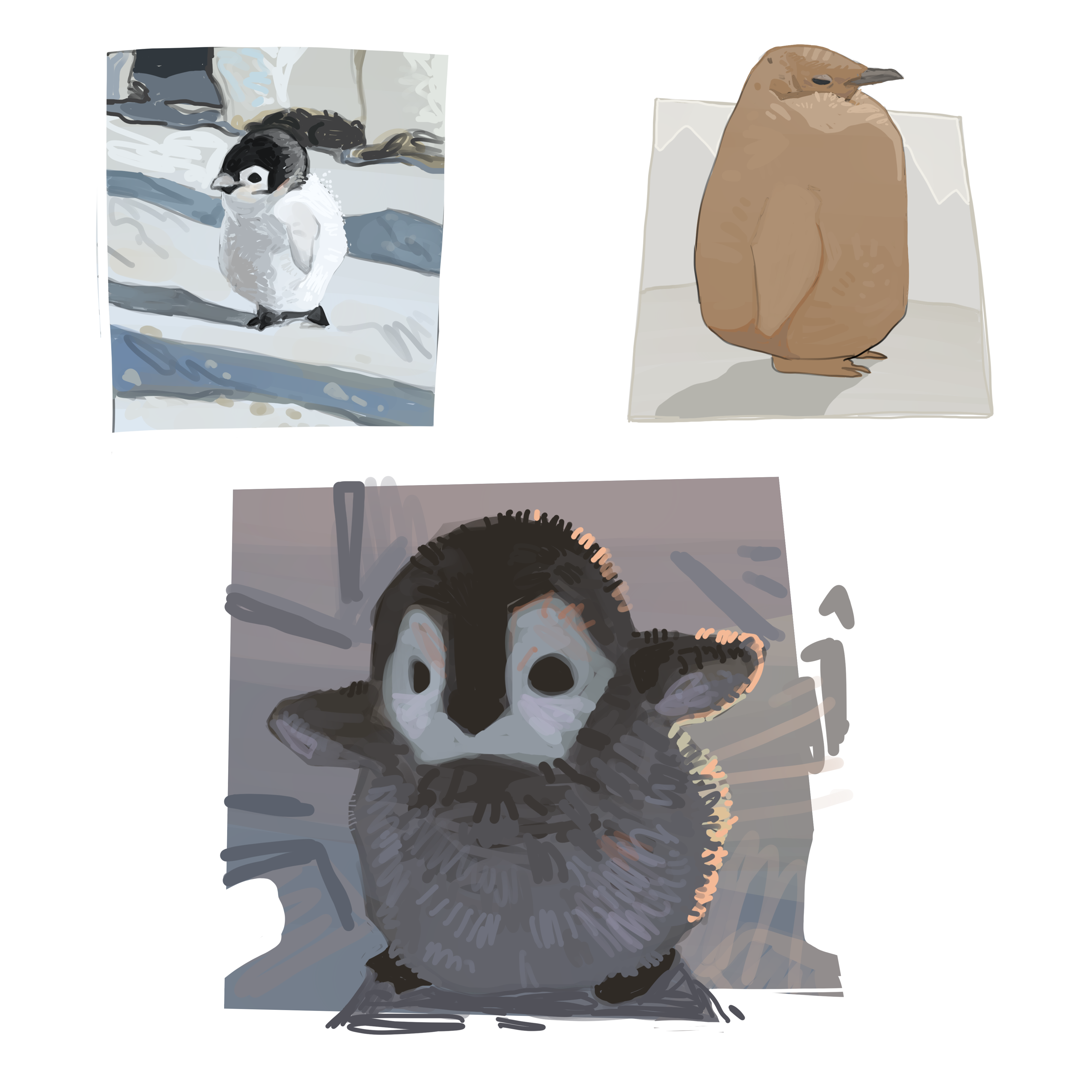 penguin i.PNG
